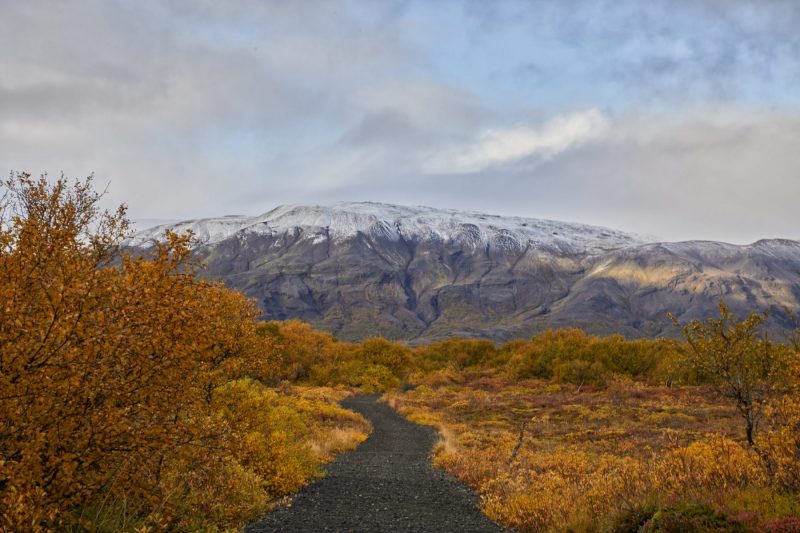 Herbststimmung im Þingvellir Nationalpark