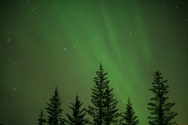 Nordlichter in der Nähe von Selfoss