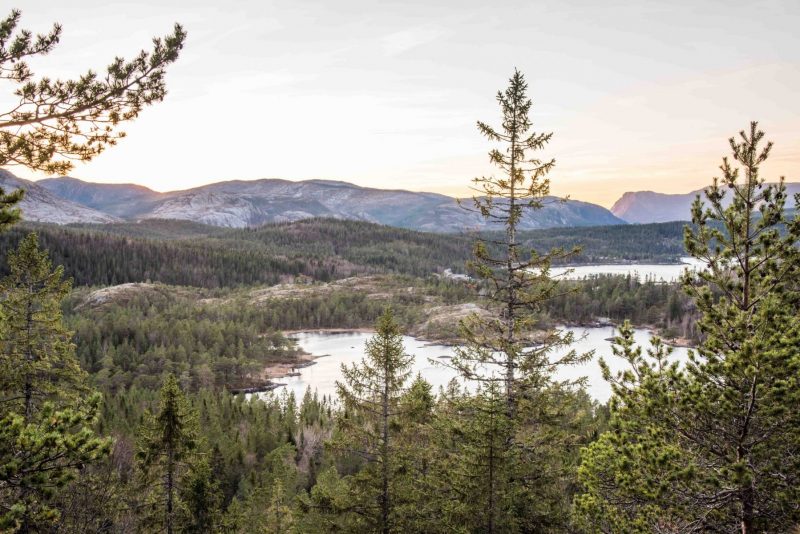 Sonnenuntergang über Norwegens Wälder